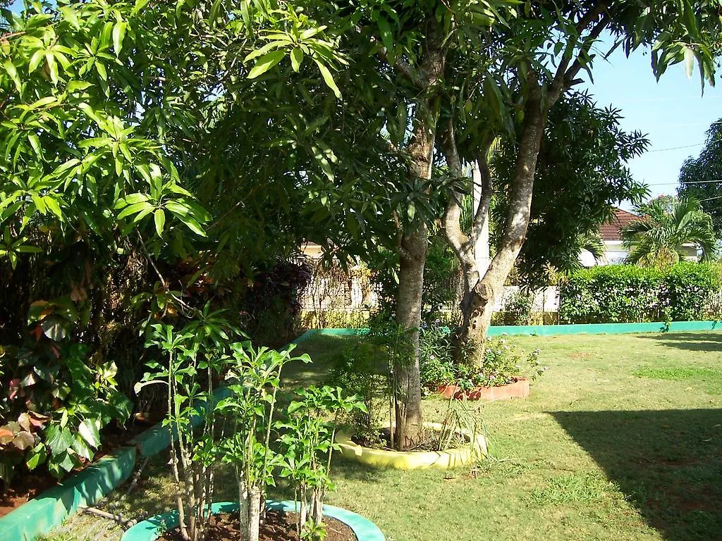 Almond Tree Villa & Apartments Ocho Rios 0*,